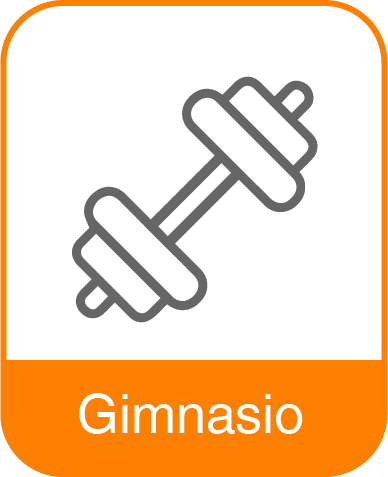 Gimnasio-1